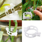 Clips de support pour plantes