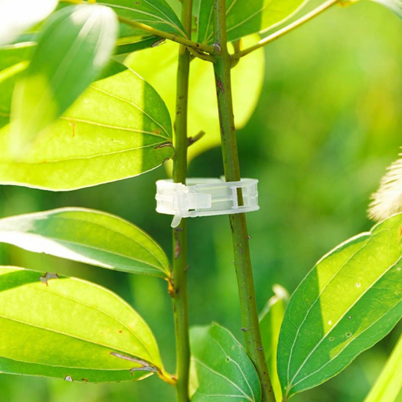 Clips de support pour plantes