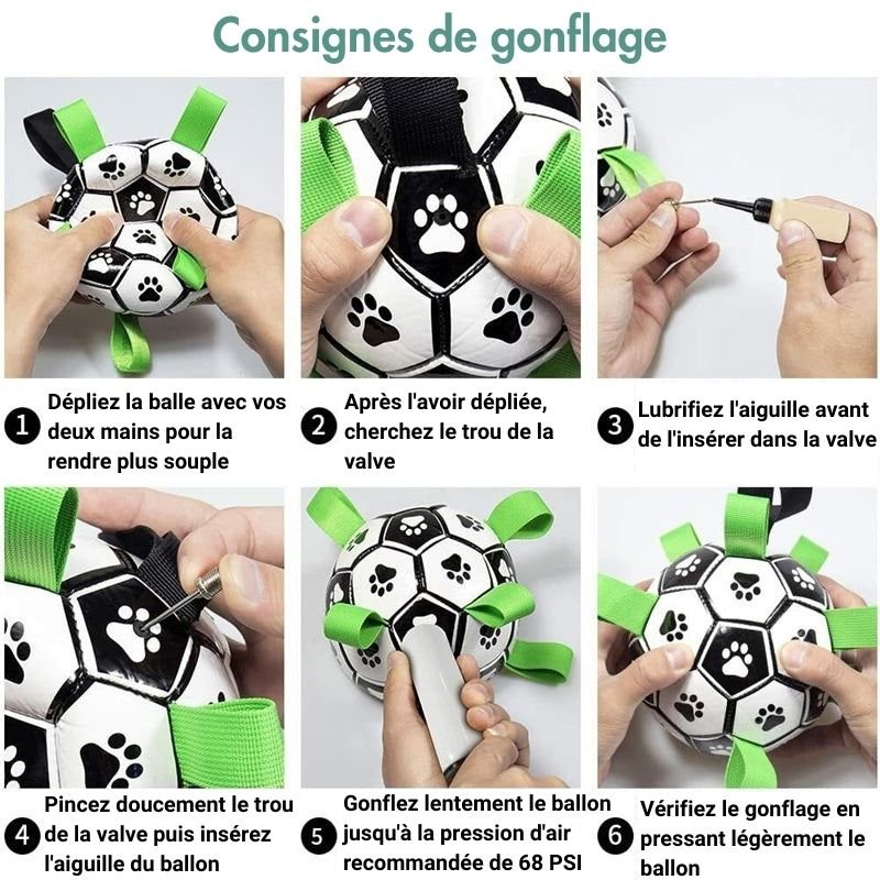 Ballon Pour Chien Ultra Résistant + POMPE OFFERTE