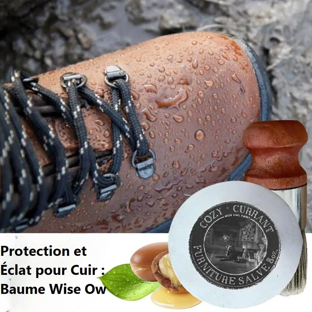 Crème de cire et brosse pour meubles Wise Owl