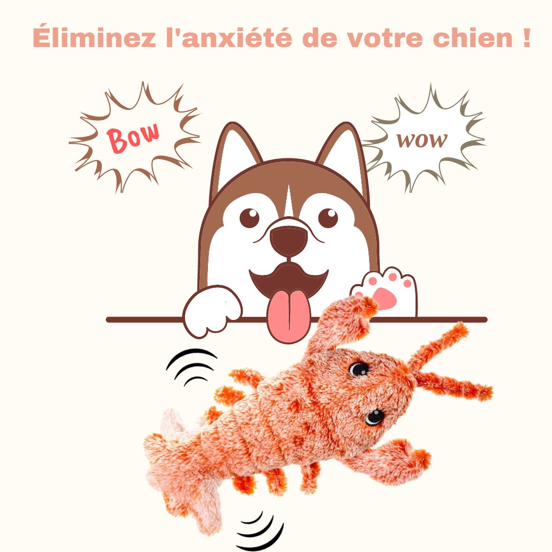 Homard™ Jouet Interactif pour Chien