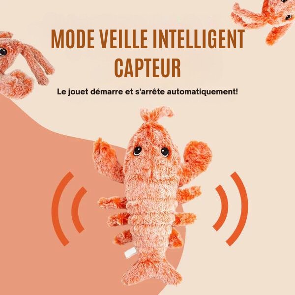 Homard™ Jouet Interactif pour Chien