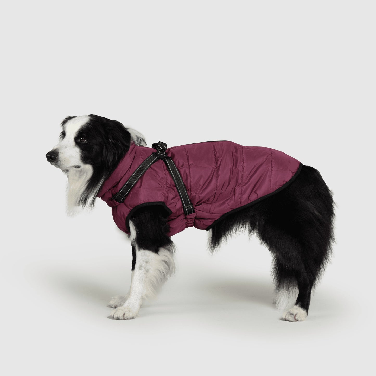 MANTEAU D'HIVER POUR CHIENS 3 EN 1 BY COZZYDOG™