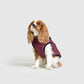 MANTEAU D'HIVER POUR CHIENS 3 EN 1 BY COZZYDOG™