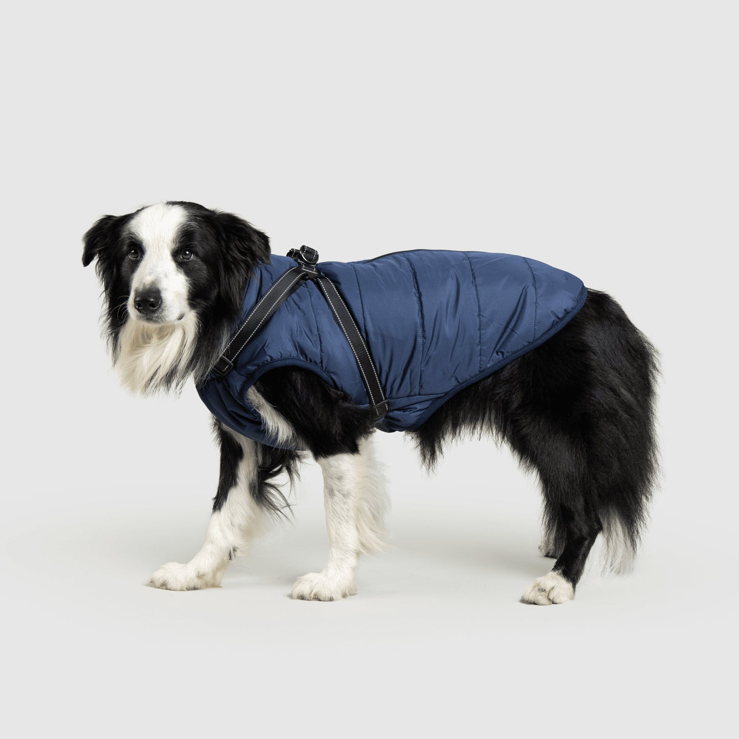 MANTEAU D'HIVER POUR CHIENS 3 EN 1 BY COZZYDOG™