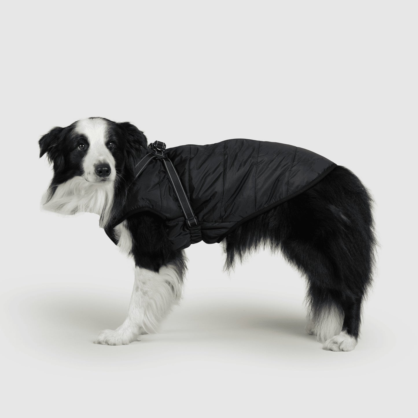 MANTEAU D'HIVER POUR CHIENS 3 EN 1 BY COZZYDOG™