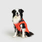 MANTEAU D'HIVER POUR CHIENS 3 EN 1 BY COZZYDOG™