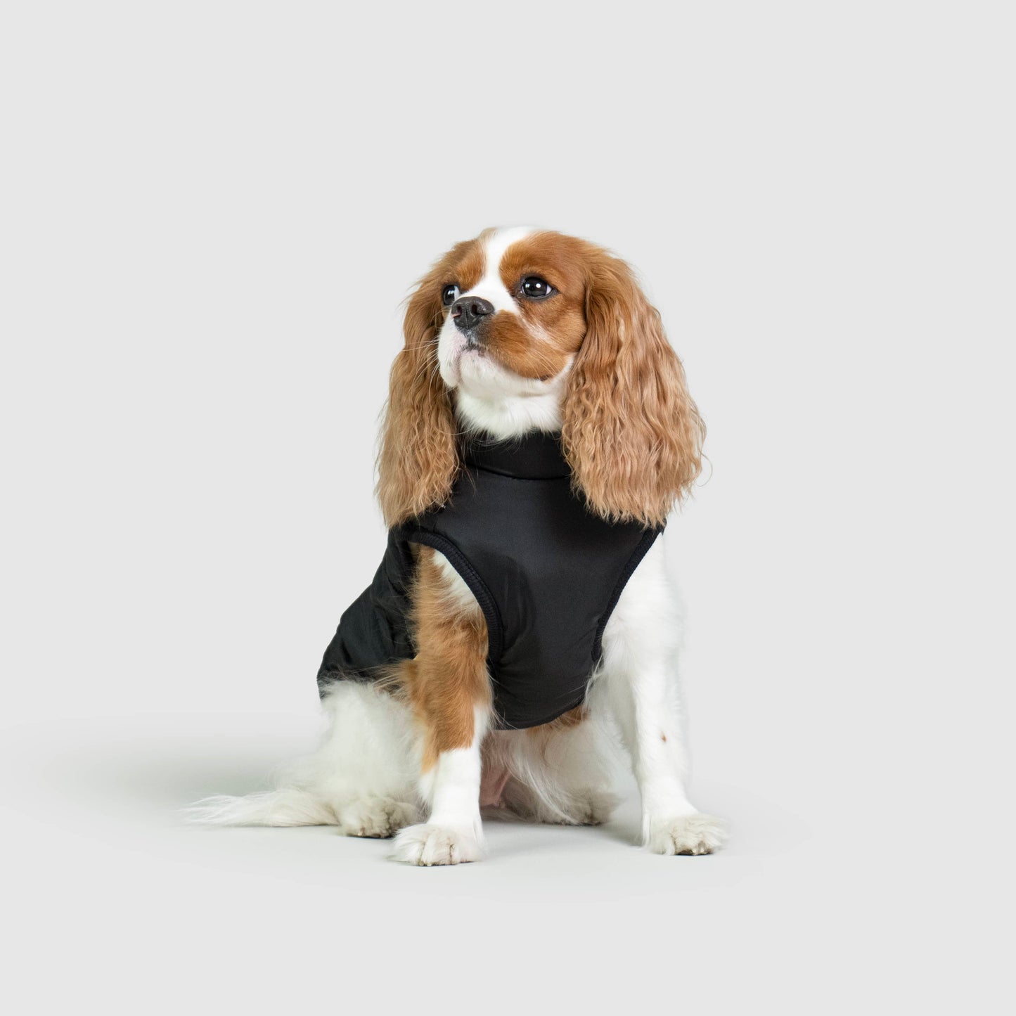 MANTEAU D'HIVER POUR CHIENS 3 EN 1 BY COZZYDOG™