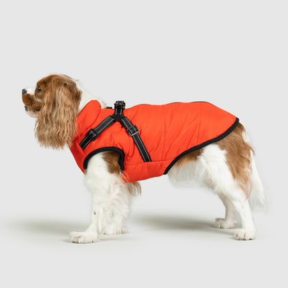 MANTEAU D'HIVER POUR CHIENS 3 EN 1 BY COZZYDOG™