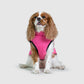 MANTEAU D'HIVER POUR CHIENS 3 EN 1 BY COZZYDOG™