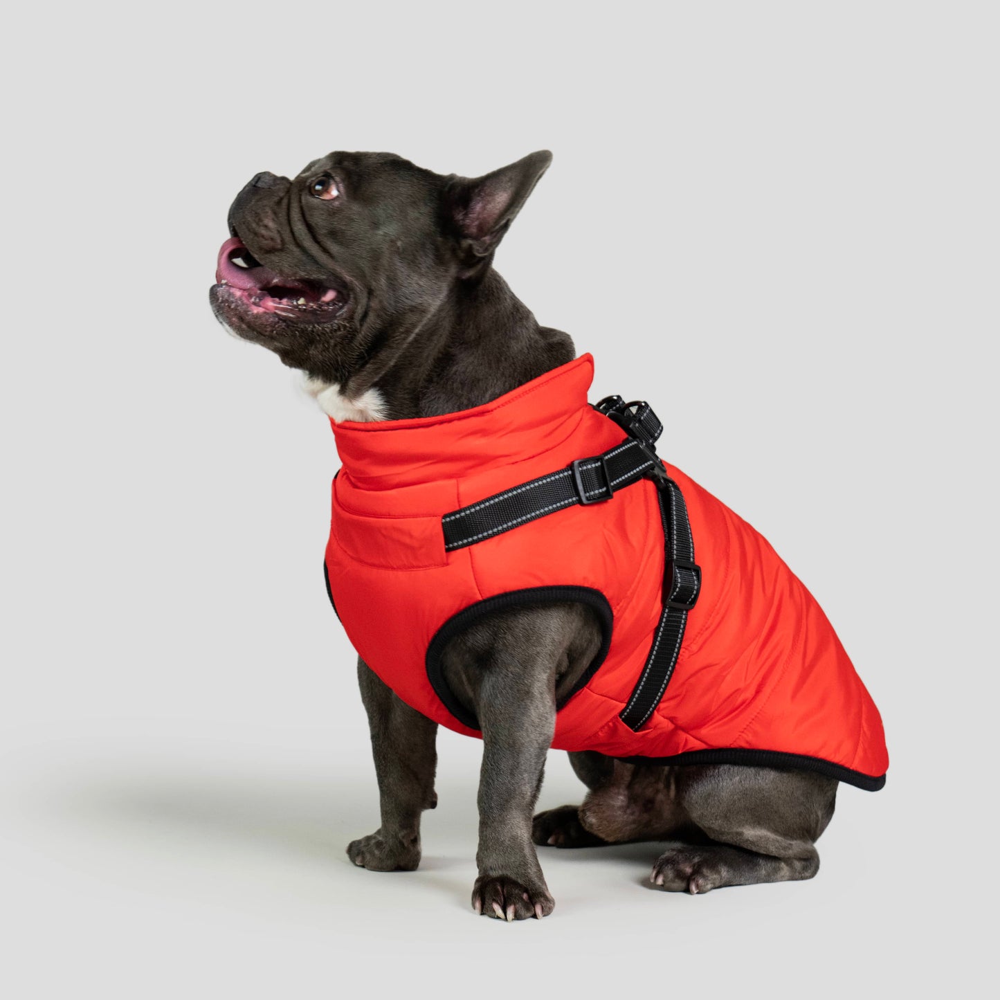 MANTEAU D'HIVER POUR CHIENS 3 EN 1 BY COZZYDOG™