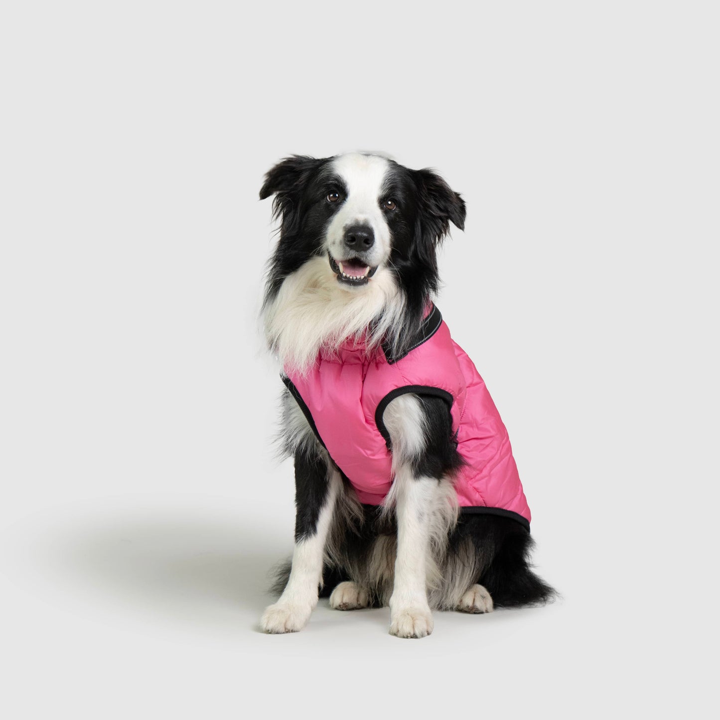 MANTEAU D'HIVER POUR CHIENS 3 EN 1 BY COZZYDOG™