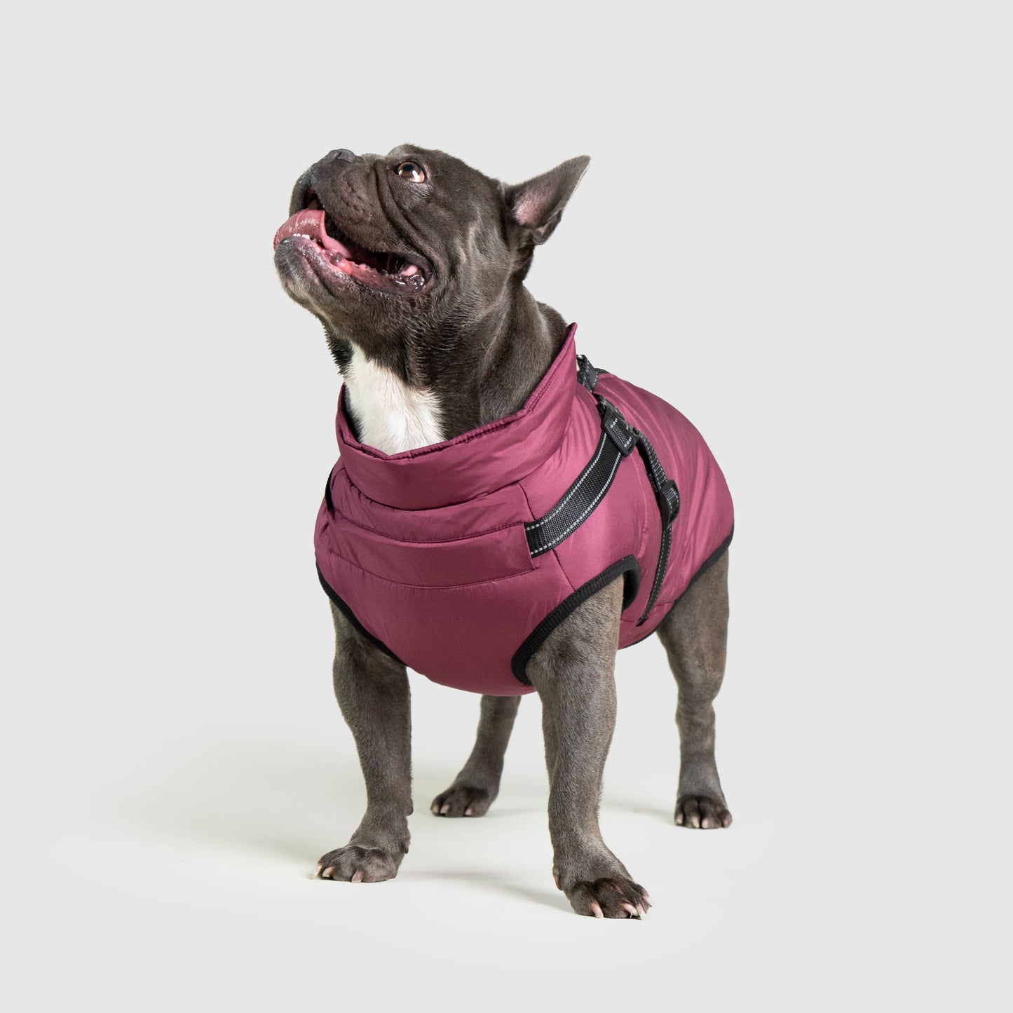 MANTEAU D'HIVER POUR CHIENS 3 EN 1 BY COZZYDOG™