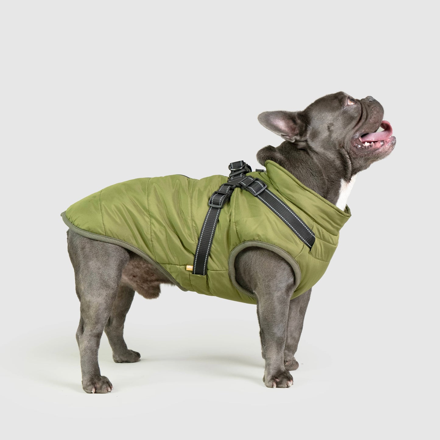 MANTEAU D'HIVER POUR CHIENS 3 EN 1 BY COZZYDOG™