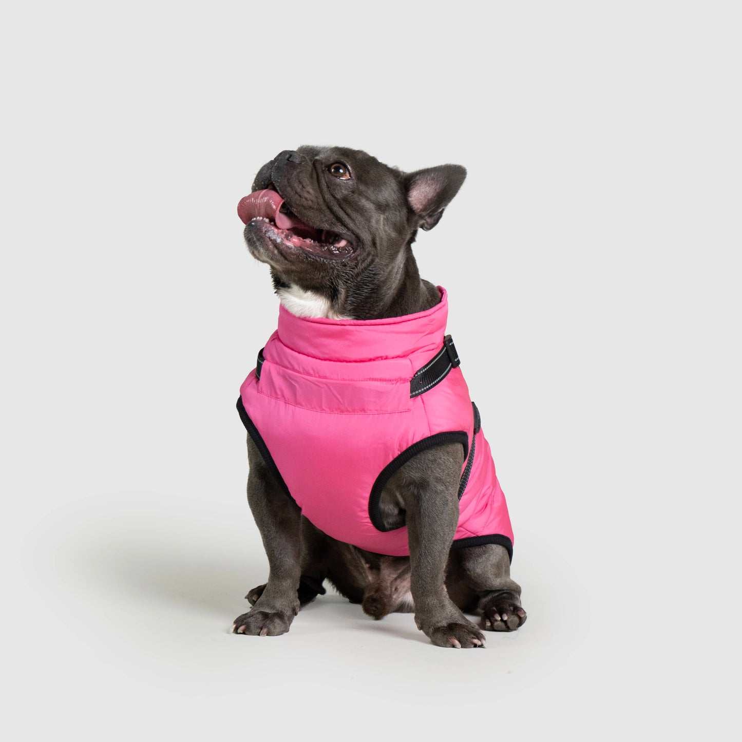 MANTEAU D'HIVER POUR CHIENS 3 EN 1 BY COZZYDOG™