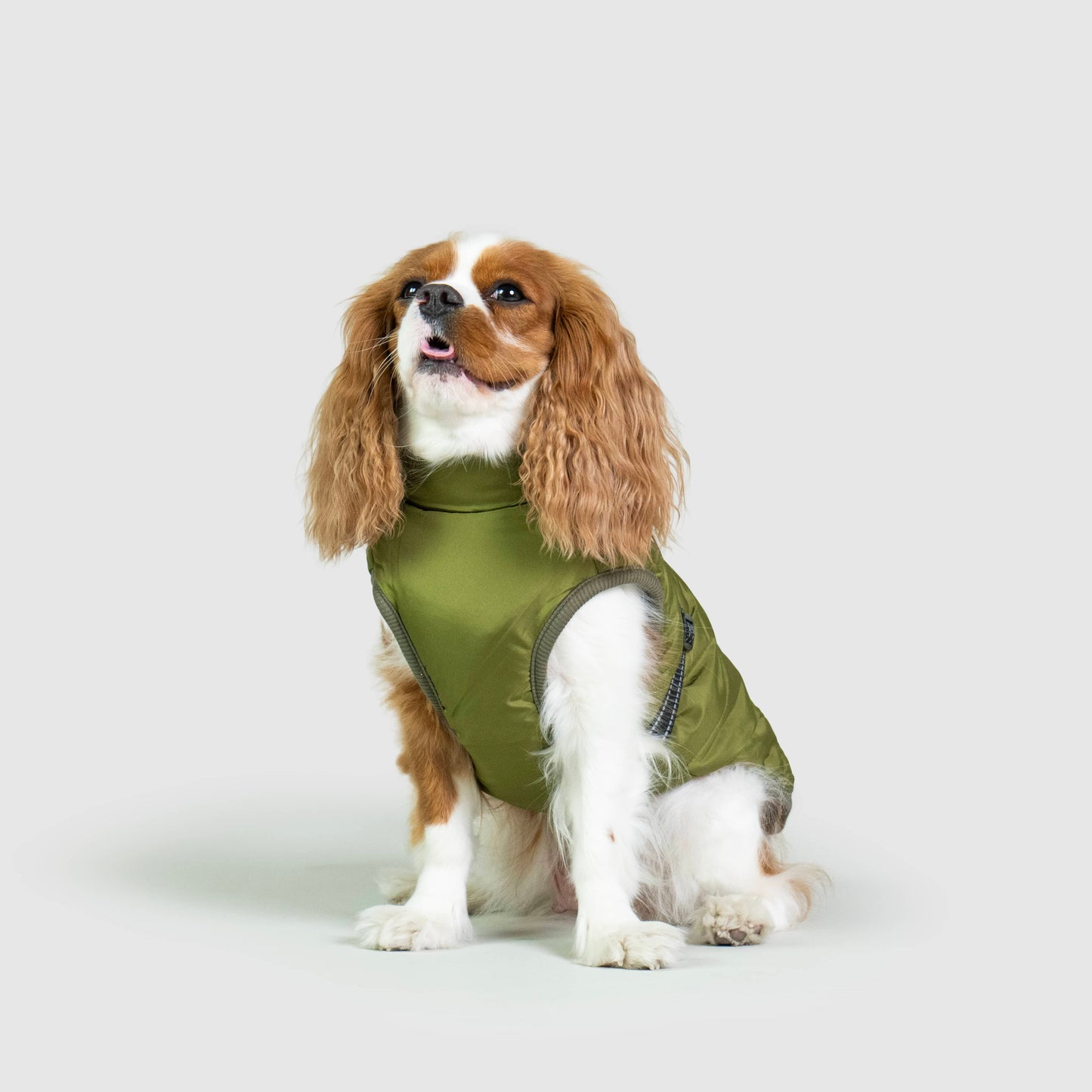 MANTEAU D'HIVER POUR CHIENS 3 EN 1 BY COZZYDOG™