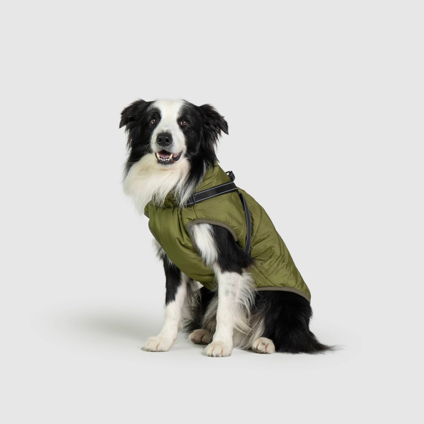 MANTEAU D'HIVER POUR CHIENS 3 EN 1 BY COZZYDOG™